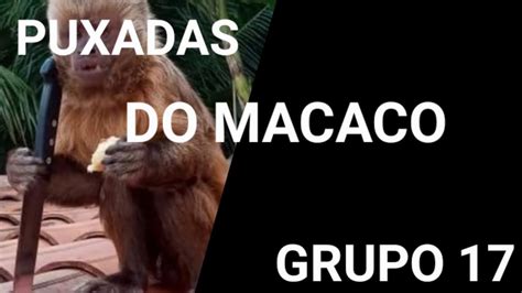 puxadas do macaco